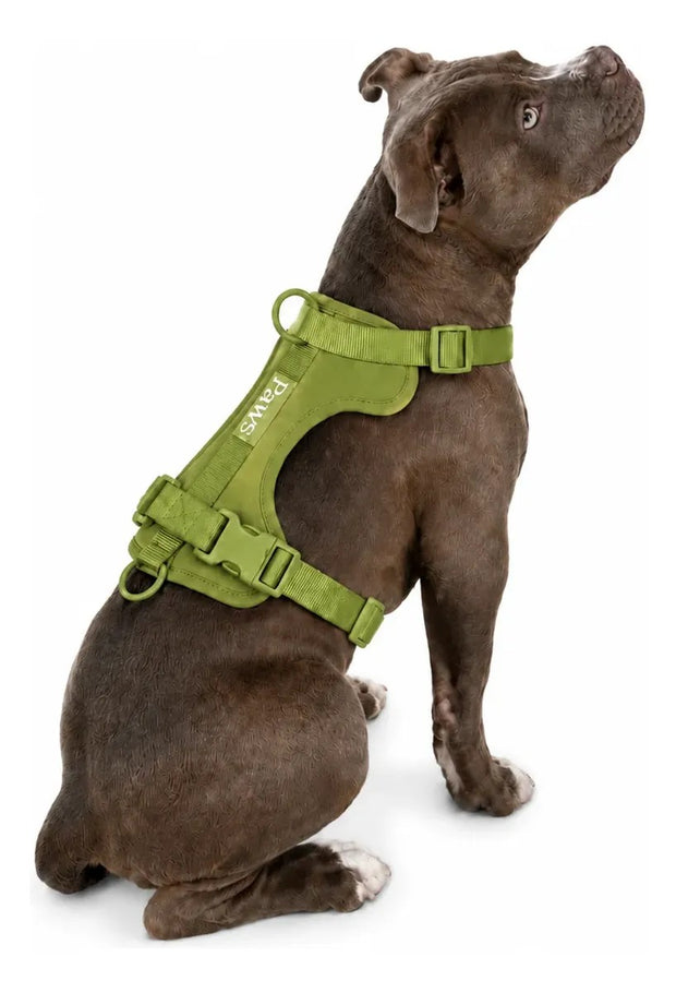 Arnés Praws Verde Oliva en un perro
