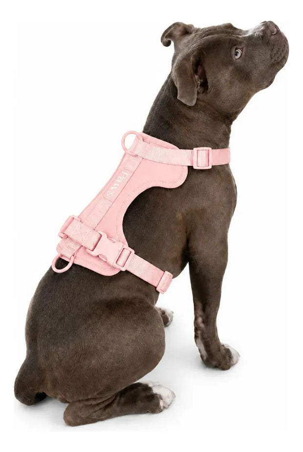 Arnés Praws Rosa en un perro