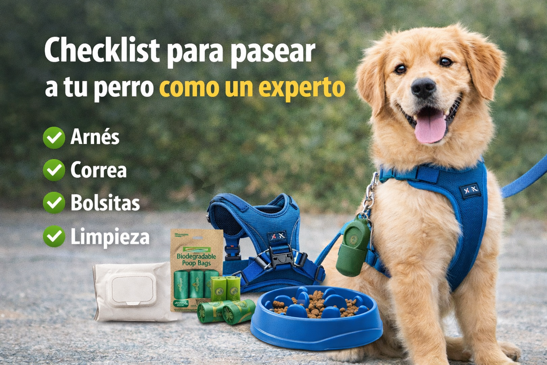 Dog walking essentials for your pup