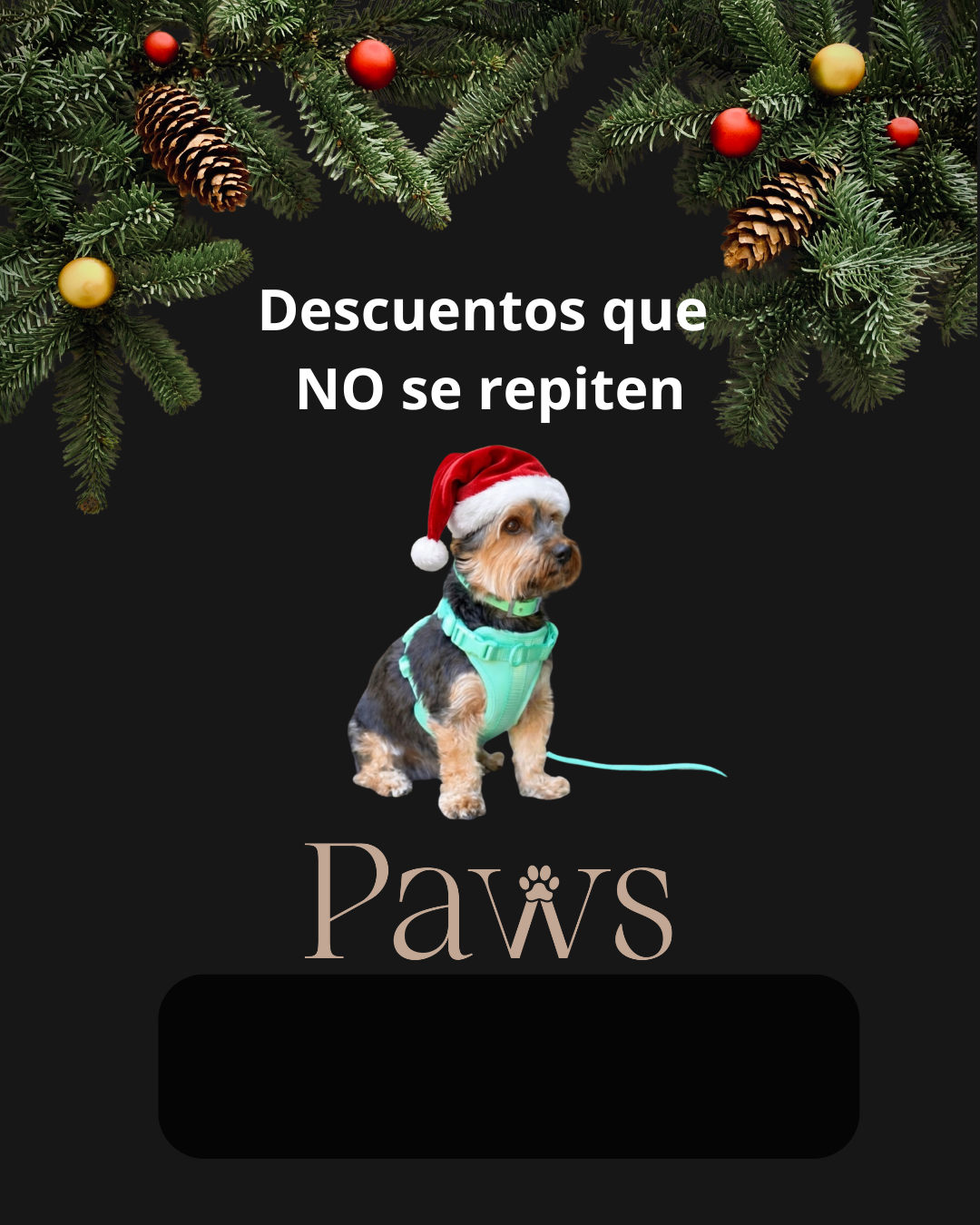 Regalos de Navidad para Perros