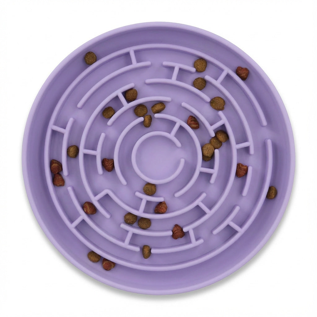 Slow Feeder