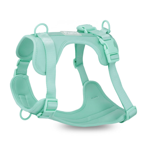 Arnés Praws Verde Agua