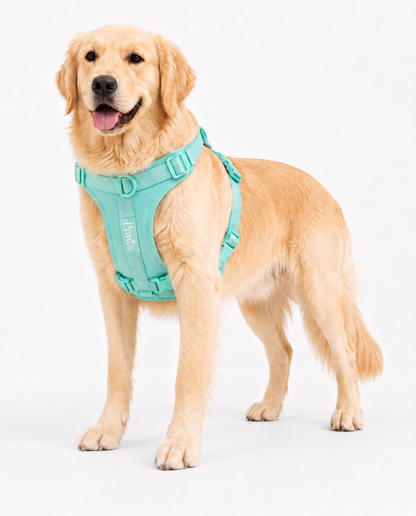 Arnés Praws Verde Agua - perro full body lateral