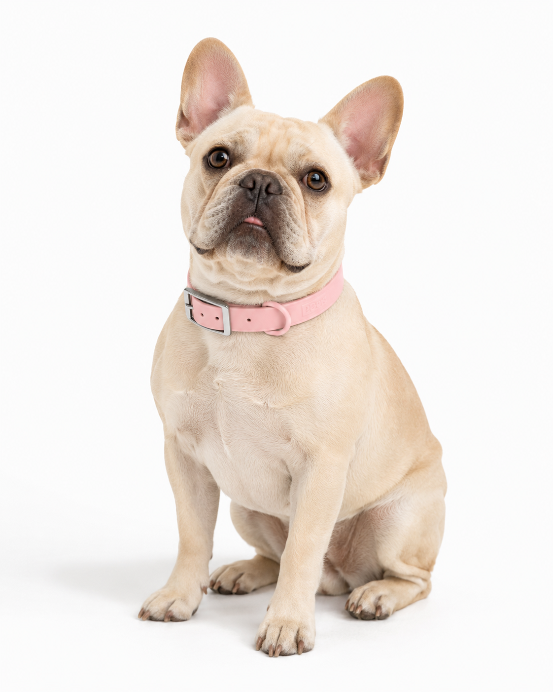 Collar Praws Rosa - bulldog frances sentado frontal