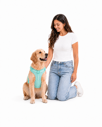 Arnés Praws Verde Agua - modelo y perro lifestyle
