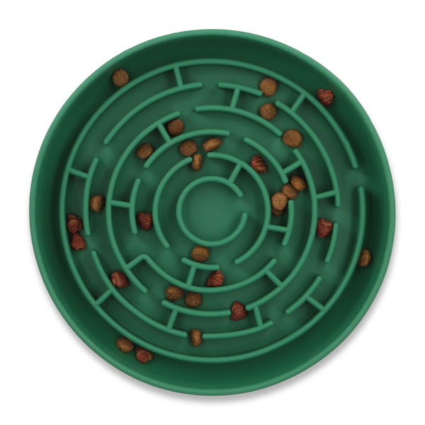 Slow Feeder