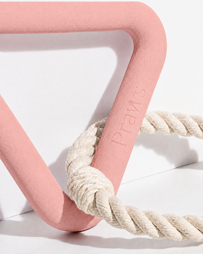Detalle del logo Praws grabado en el Triángulo Pulling rosa
