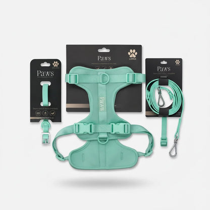 Kit Paseo