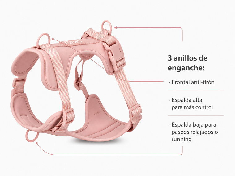 Tres anillos de enganche del arnés Praws